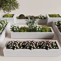 Different Flower Plant Varieties In Rectangular White Planters Beautiful