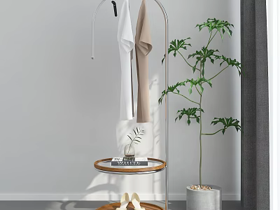 Silver Metal Clothes Hanger With Hanging Clothes Tall Green Indoor Plant And Wooden Tray Shelf 3d model