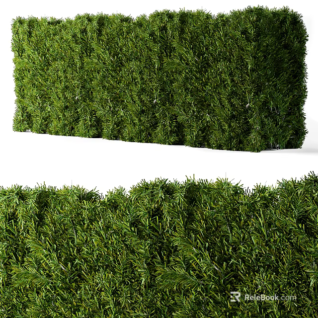 Lush Green Shrubs With Dense Foliage For Garden Landscaping And Decoration 3d model 