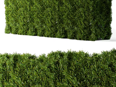 Lush Green Shrubs With Dense Foliage For Garden Landscaping And Decoration 3d model