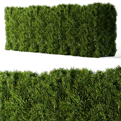 Lush Green Shrubs With Dense Foliage For Garden Landscaping And Decoration 3d model