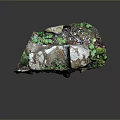 Natural Wood And Stone Features With Green Moss And Lush Plants