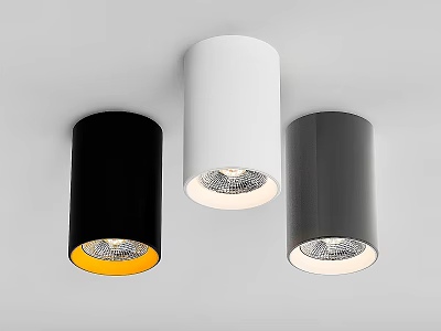 Modern Black White Gray Ceiling Downlights Spotlights With LED Light Source 3d model
