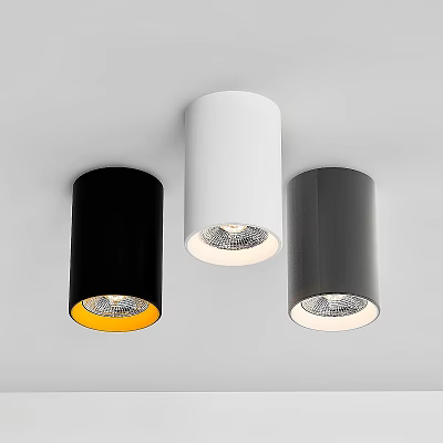 Modern Black White Gray Ceiling Downlights Spotlights With LED Light Source 3d model
