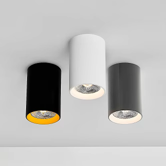 Modern Downlight Spotlight CENTRSVET 3d model