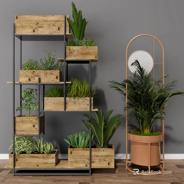 Indoor Potted Plants On Multi Tiered Wooden Shelves With Various Greenery 3d model 