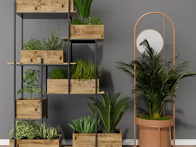 Indoor Potted Plants On Multi Tiered Wooden Shelves With Various Greenery 3d model