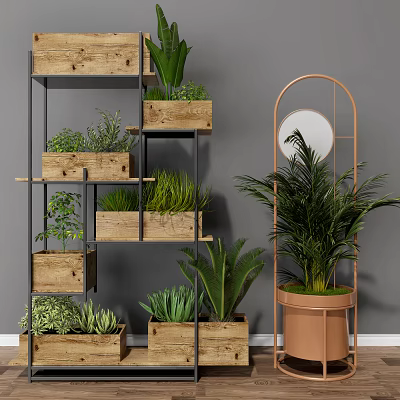 Indoor Potted Plants On Multi Tiered Wooden Shelves With Various Greenery 3d model