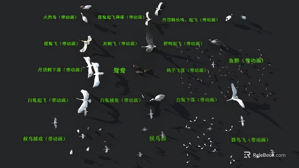Various Types of Flying Animals Engaging in Activities Like Flying Standing Taking Off and Landing 3d model 
