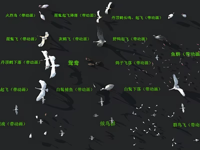 Various Types of Flying Animals Engaging in Activities Like Flying Standing Taking Off and Landing 3d model