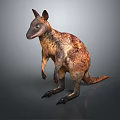 Realistic Reptile Standing With Brown Yellow Scales On Gray Background