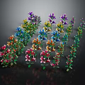 Vibrant Colorful Mixed Flower Plants Neatly Arranged With Reflections On Black Background
