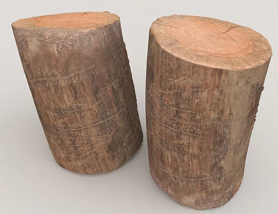 Natural Wooden Log Stumps With Textured Surface And Two Solid Wood Structures 3d model