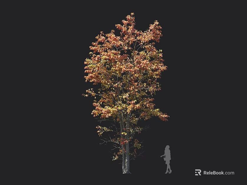 Tall Arbor With Vibrant Orange And Yellow Autumn Foliage And Human Silhouette On Dark Background 3d model 