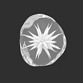 Intricate Star Shaped Crystal Sculpture With Transparent Glass Carving Design
