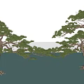 Lush Pine Trees With Curved Branches Against Blue Sky And Reflections On Water Surface