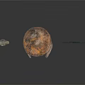 Ancient Rusted Weapons With Bronze Sword Iron Helmet And Shield