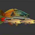 Vibrant School Of Tropical Fish With Colorful Orange Green And Yellow Stripes