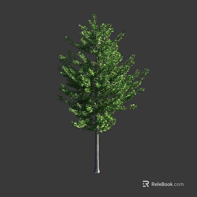 Tall Arbor Tree With Green Lush Foliage And Gray Slender Trunk 3d model 