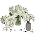 Fresh White Hydrangea Flowers In Glass And Ceramic Vases With Green Leaves