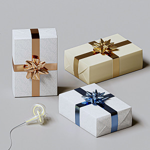 Modern Gift Box Gift Box 3d model