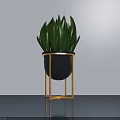 Potted Plant with Green Leaves in Black Pot Gold Stand and Light Wall Smooth Floor