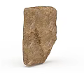 Ancient Garden Landscape Design With Fossil Rock And Plant Imprint Details