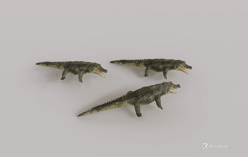 Reptile Crocodile Models With Green Gray Color Textured Skin Open Mouth On Light Background 3d model 