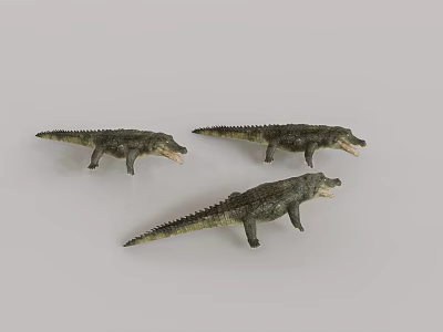 Reptile Crocodile Models With Green Gray Color Textured Skin Open Mouth On Light Background 3d model