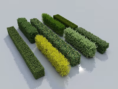 Colorful Trimmed Long Shaped Bushes As Garden Landscape Design Elements 3d model