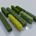 Colorful Trimmed Long Shaped Bushes As Garden Landscape Design Elements