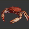 crab sea crab river crab hairy crab bread crab hermit crab big crab small crab marine animal fish 3d model