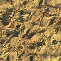 Beautiful Natural Sand Landscape With Detailed Texture And Footprints Under Sunlight