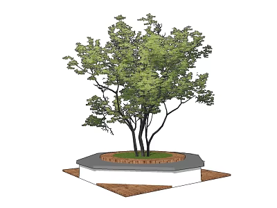 Tree Pit Design For Urban Landscapes With Green Tree And Stone Base Paving 3d model