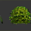 Three Green Spherical Plants Against Gray Background With Reflections And Small Grass Beside Middle One