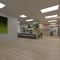 Modern Office Interior With Open Space Sofa Plants Ceiling Lights And Wooden Flooring