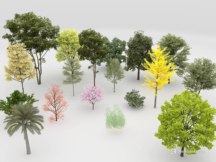 Diverse Arbor Trees With Various Colors And Different Species 3d model 