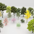 Diverse Arbor Trees With Various Colors And Different Species 3d model