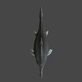 Realistic 3D Model of Aquatic Reptile With Long Snout Flippers and Gray White Coloration