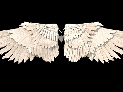 Detailed White Angel Wings With Feather Texture On Black Background 3d model
