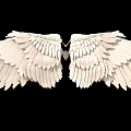 Detailed White Angel Wings With Feather Texture On Black Background 3d model