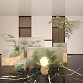 Various Green Plants And Flowers In Modern Interior With Transparent And Marble Containers