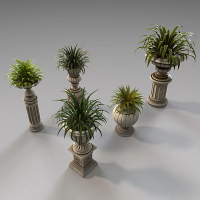 Ornamental Bonsai Potted Plants On Carved Stone Pedestals With Lush Green Leaves 3d model