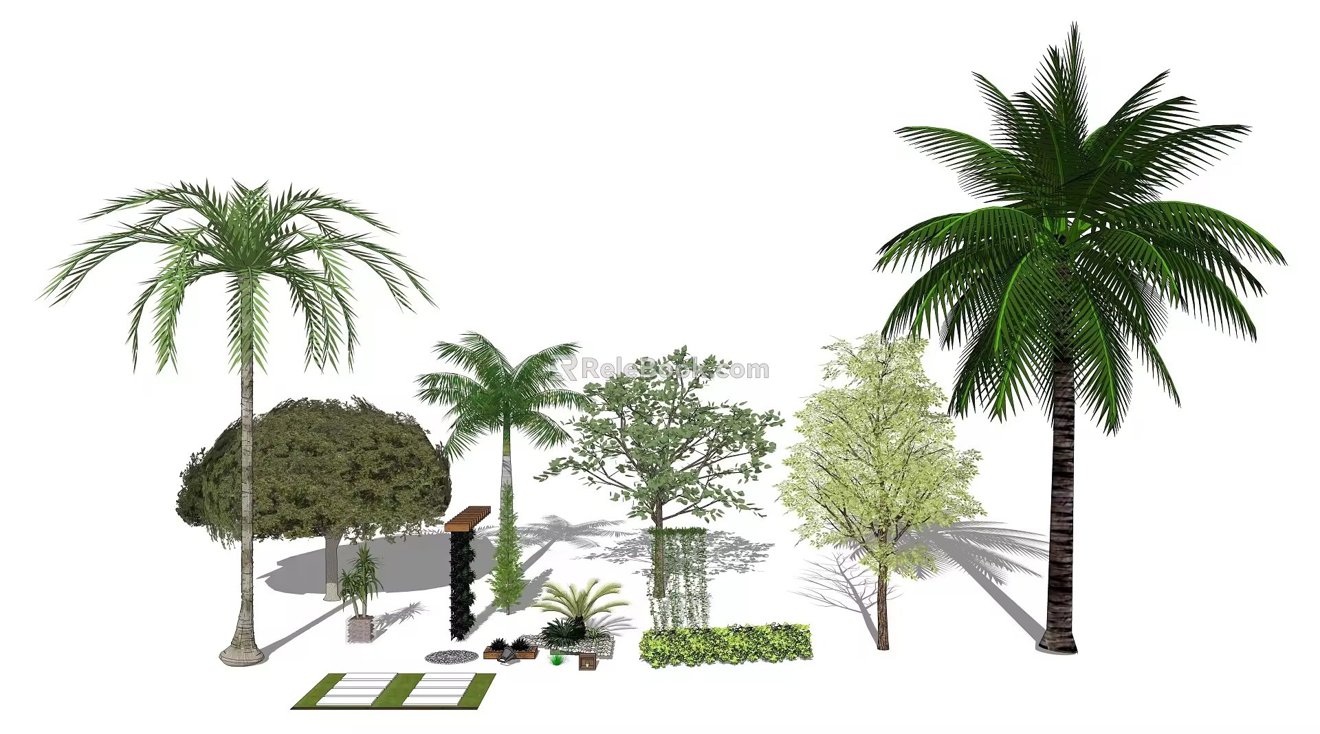 Modern Palm Tree Plant Combination 3d model