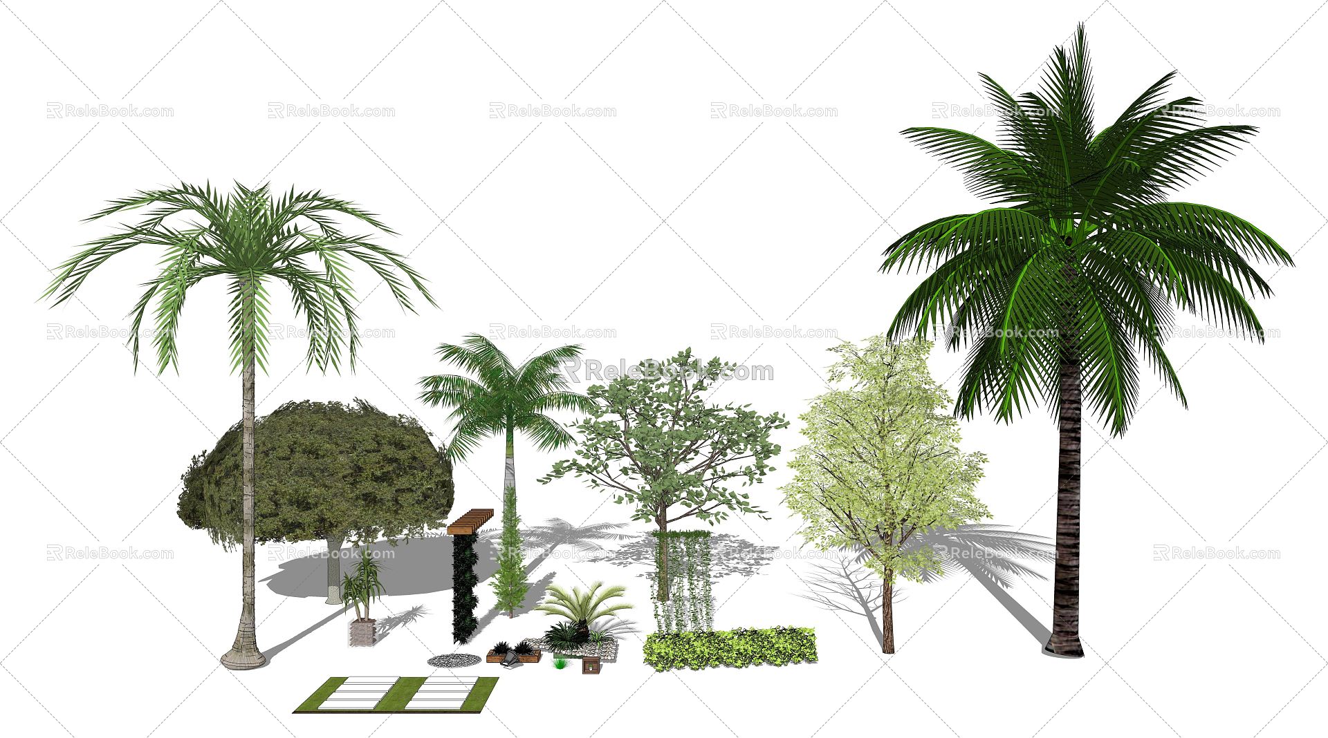 Modern Palm Tree Plant Combination 3d model