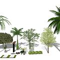 Modern Palm Tree Plant Combination 3d model