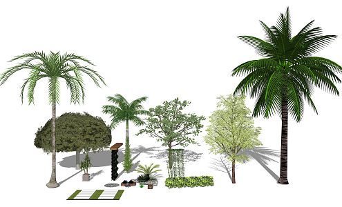 Modern Palm Tree Plant Combination 3d model