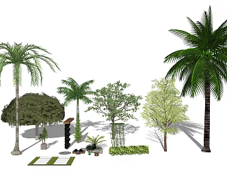 Modern Palm Tree Plant Combination 3d model