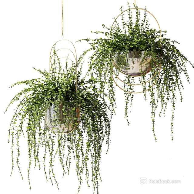 Hanging Basket Plants with Metallic Frames and Trailing Lush Green Leaves for Indoor Decor 3d model 