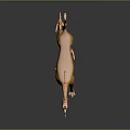 Golden Mythical Creature Sculpture With Horned Head Curved Tail And Clawed Feet